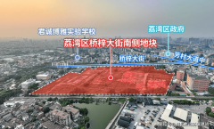 规划总户数为[X]