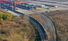 为出口企业建立起